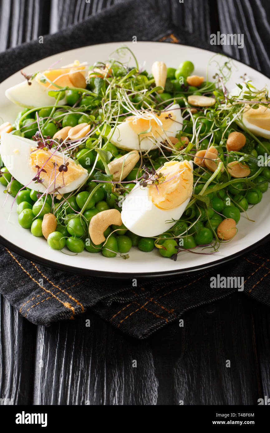 Ostern grüne Erbsen Salat, Micro grün, Muttern und gekochte Eier close-up auf einem Teller auf den Tisch. Vertikale Stockfoto