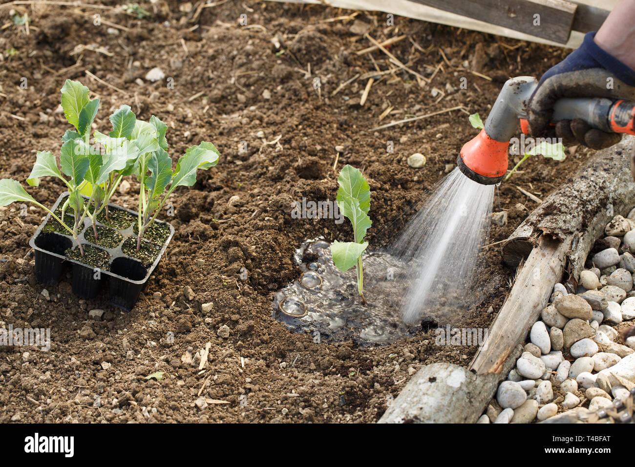 Gartendusche frau Fotos und Bildmaterial in hoher Auflösung Alamy