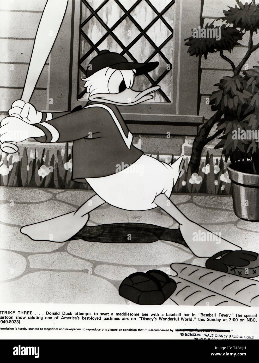 DONALD DUCK WALT DISNEY PRODUKTIONEN/MOVIESTORE COLLECTION LTD. Stockfoto