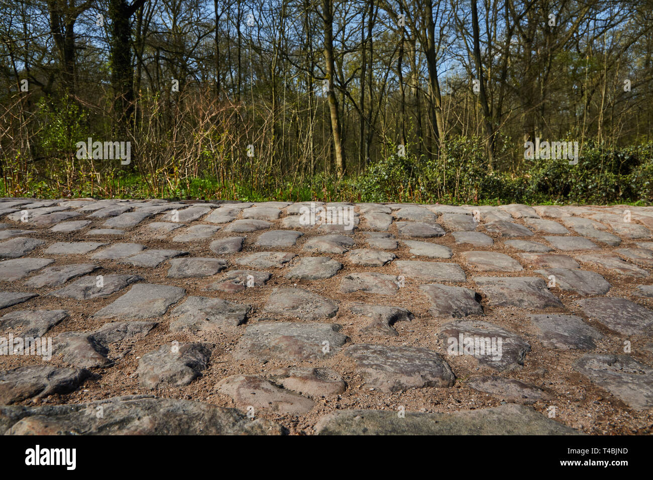 Der Arenberg graben, Paris Roubaix Stockfoto