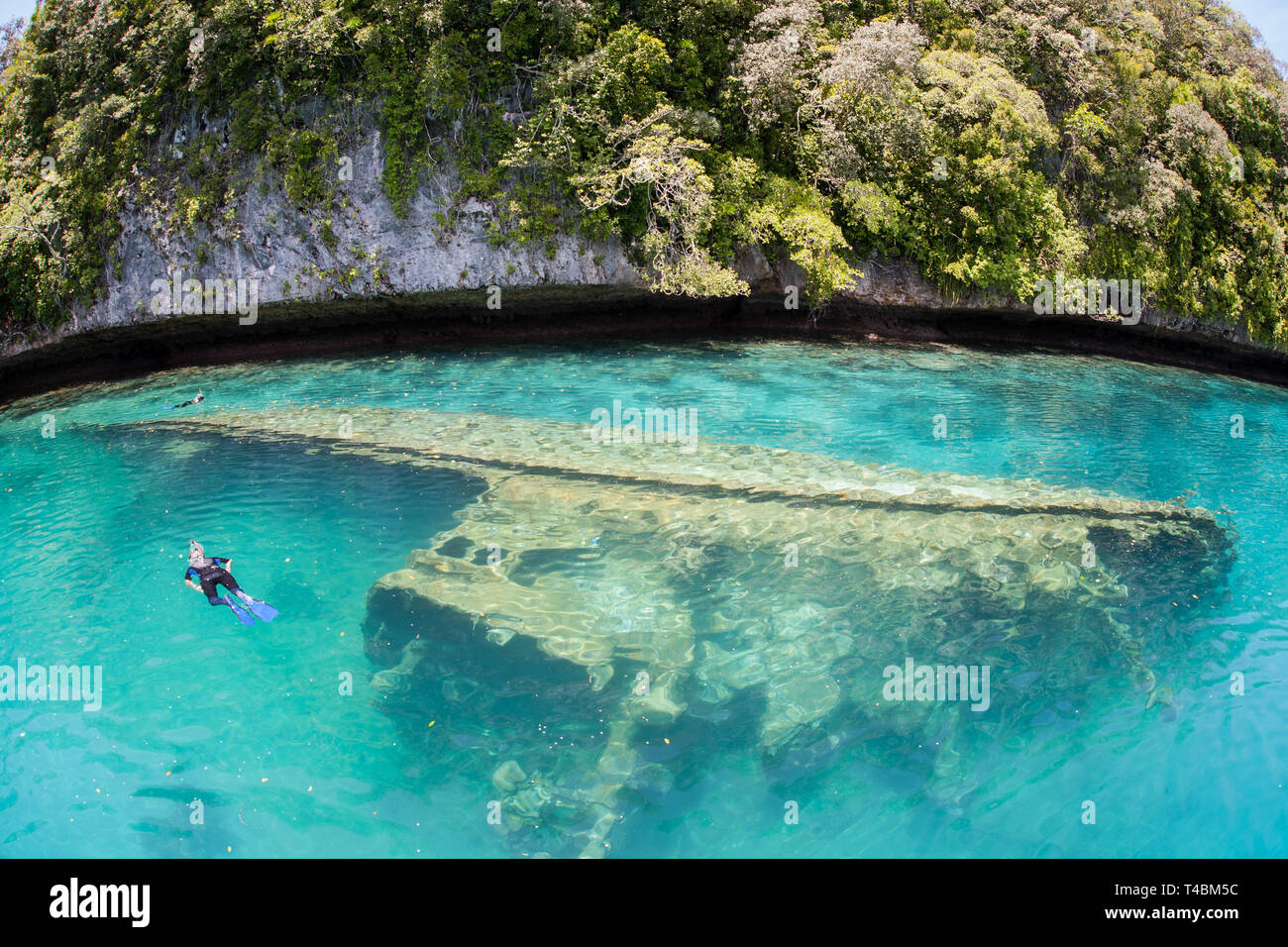 Schnorchler eine flache Schiffswrack entdecken Sie inmitten der Kalkstein Inseln von Palau. Diese schöne Insel - Nation ist am besten für seine marine Artenvielfalt bekannt. Stockfoto