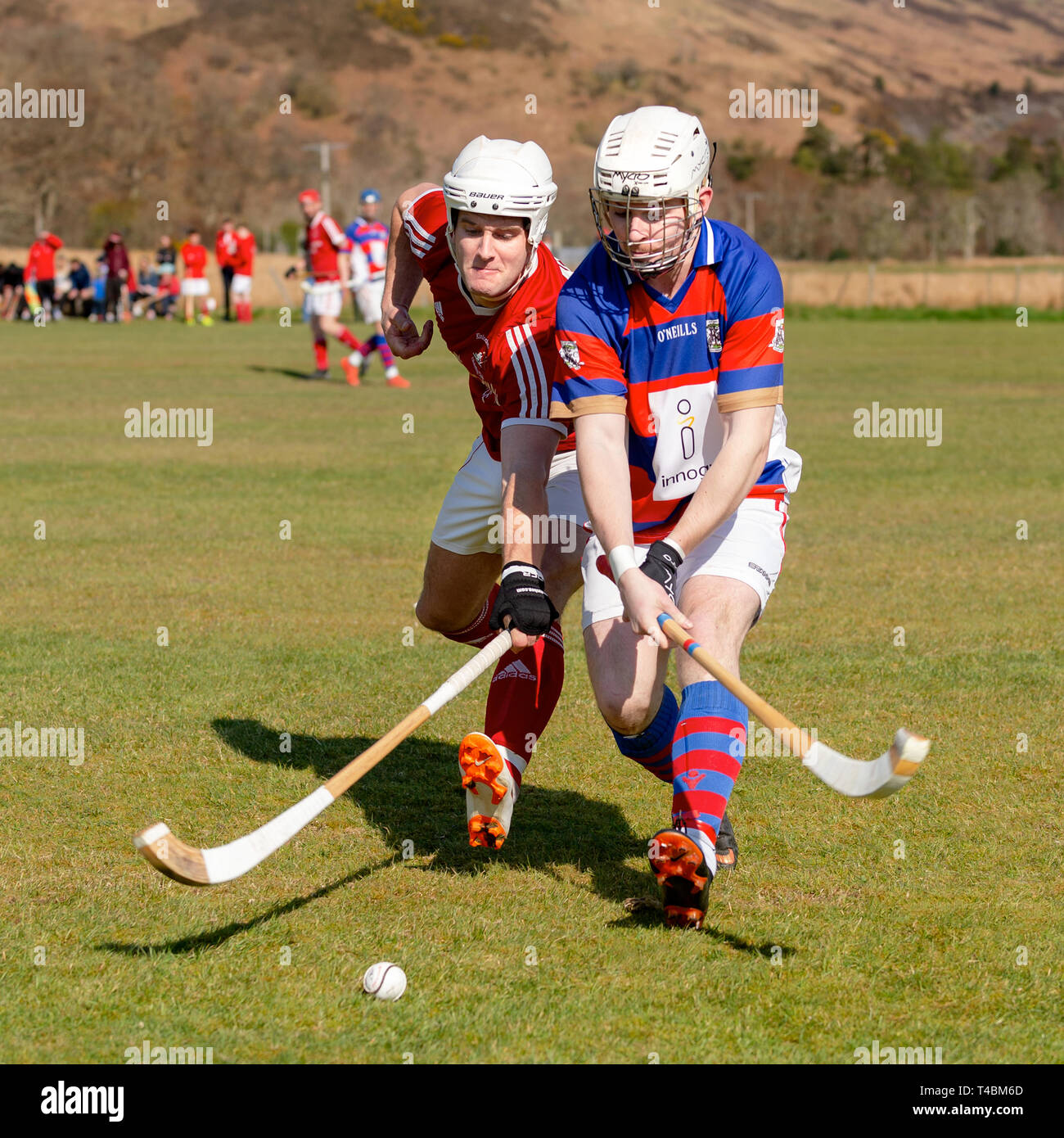 Kinlochshiel v Kingussie im MOWI Premiership, an Kirkton, Balmacara, Schottland gespielt. Stockfoto