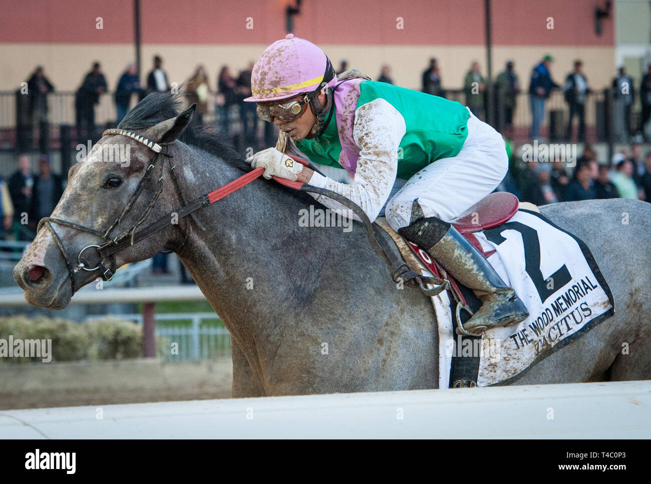 South Ozone Park, NY, USA. 6 Apr, 2019. New York, USA, 6. April 2019: Tacitus, geritten von Jose Ortiz, gewinnt die 2019 läuft der G2 Holz Memorial am Aquädukt Pferderennbahn in South Ozone Park, NY. Sophie Ufer/ESW/CSM/Alamy leben Nachrichten Stockfoto