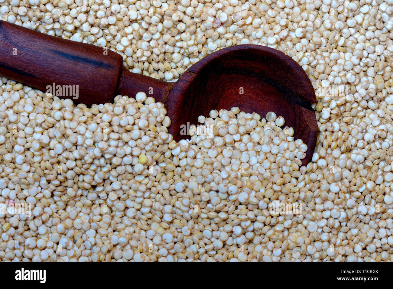 Quinoa mit Holzloeffel, Schisandra Quinoa Stockfoto