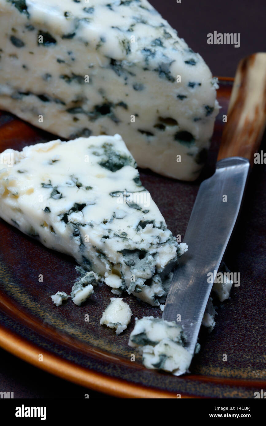 Roquefort, Blauschimmelkaese Stockfoto