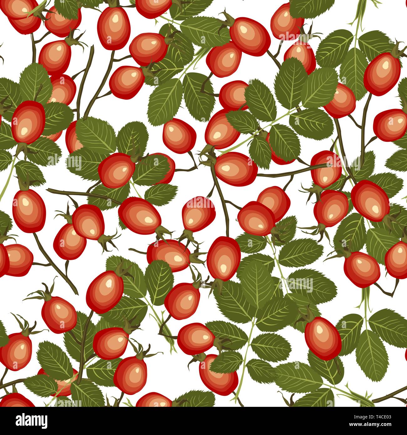 Hagebutten nahtlose Muster auf weißem Hintergrund. Hund - Rose reife rote Früchte. Vector Illustration Stock Vektor