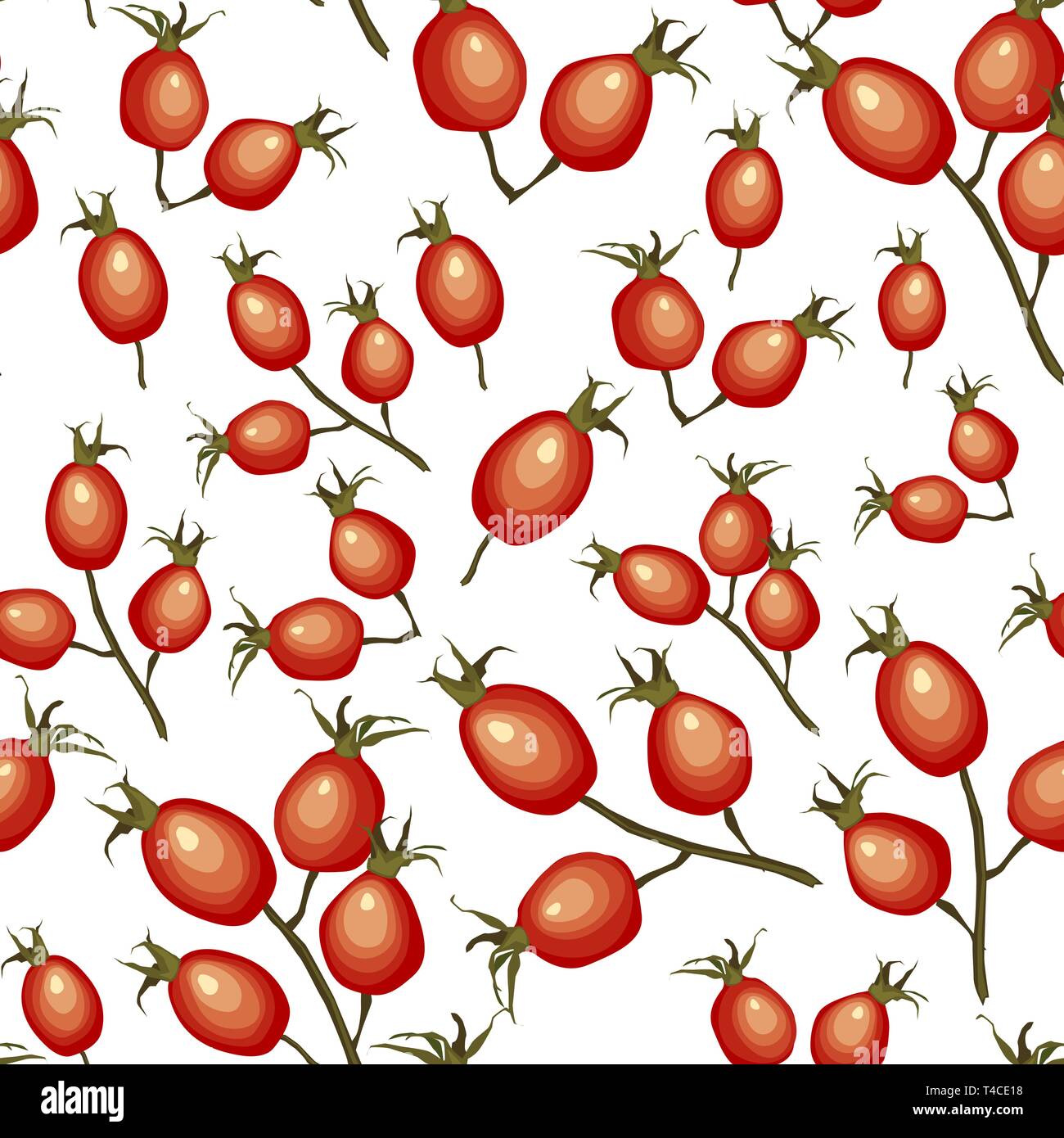 Hagebutten nahtlose Muster auf weißem Hintergrund. Hund - Rose reife rote Früchte. Vector Illustration Stock Vektor