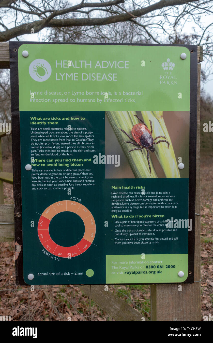Eine Borreliose gesundheit Rat Bekanntmachung im Richmond Park, UK. Stockfoto