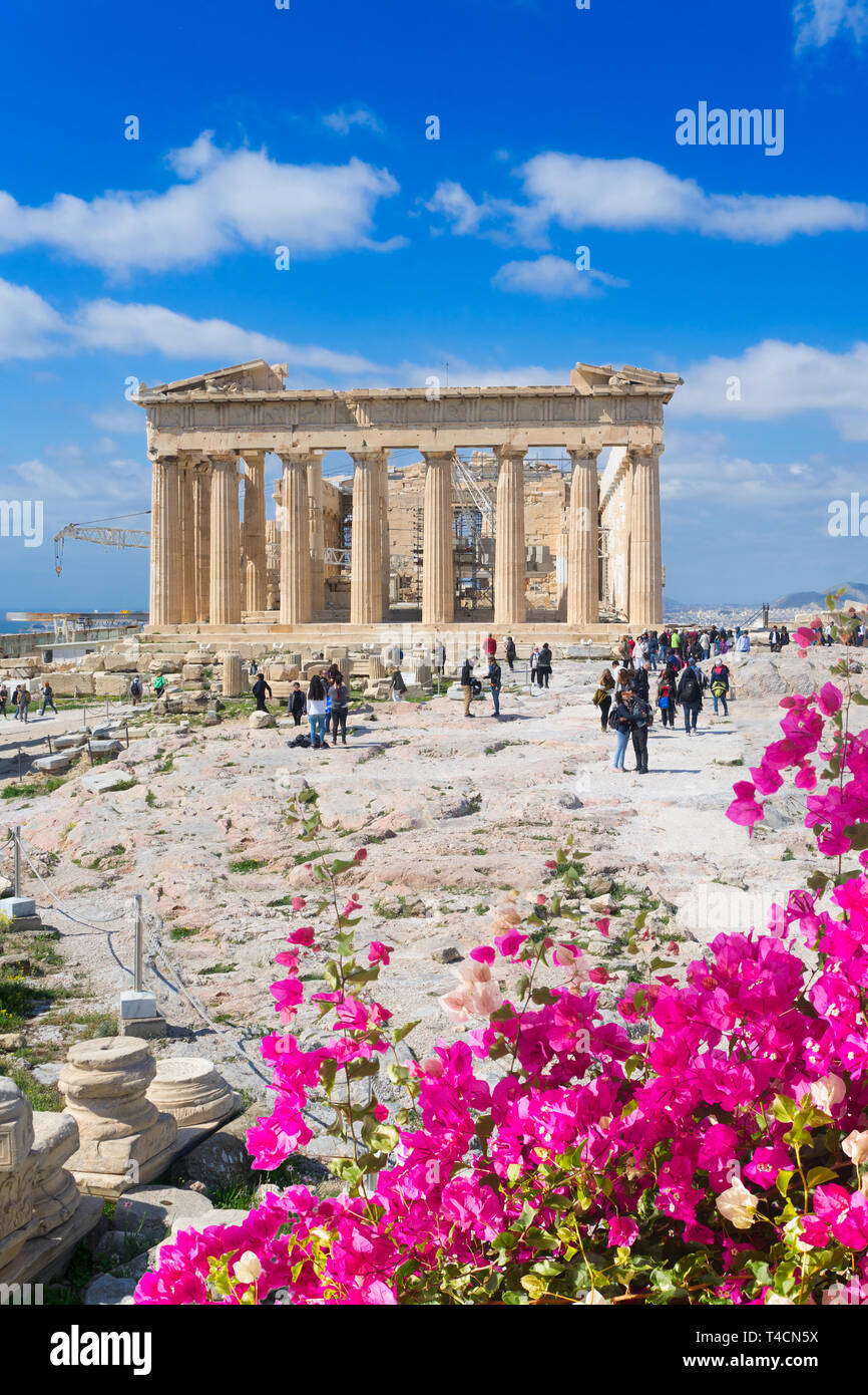 Parthenon Tempel, Athen Stockfoto