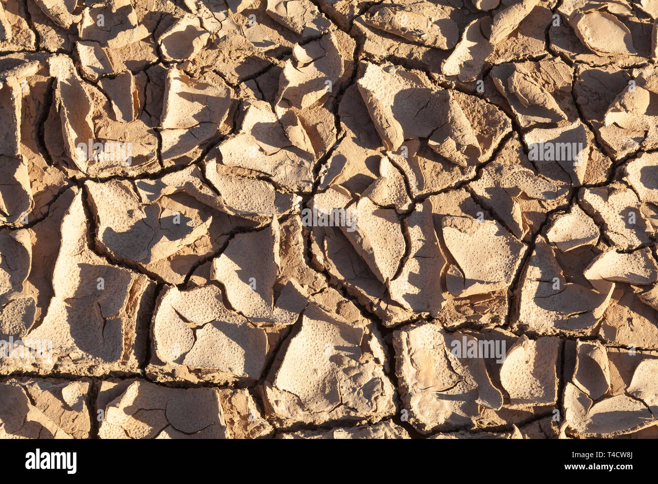 Hintergrund Textur von trockenen trockenen rissig Schlamm Curling an den Kanten während einer Dürre. Unten leer resevoir. Die globale Erwärmung, Klimawandel, natürliche Stockfoto