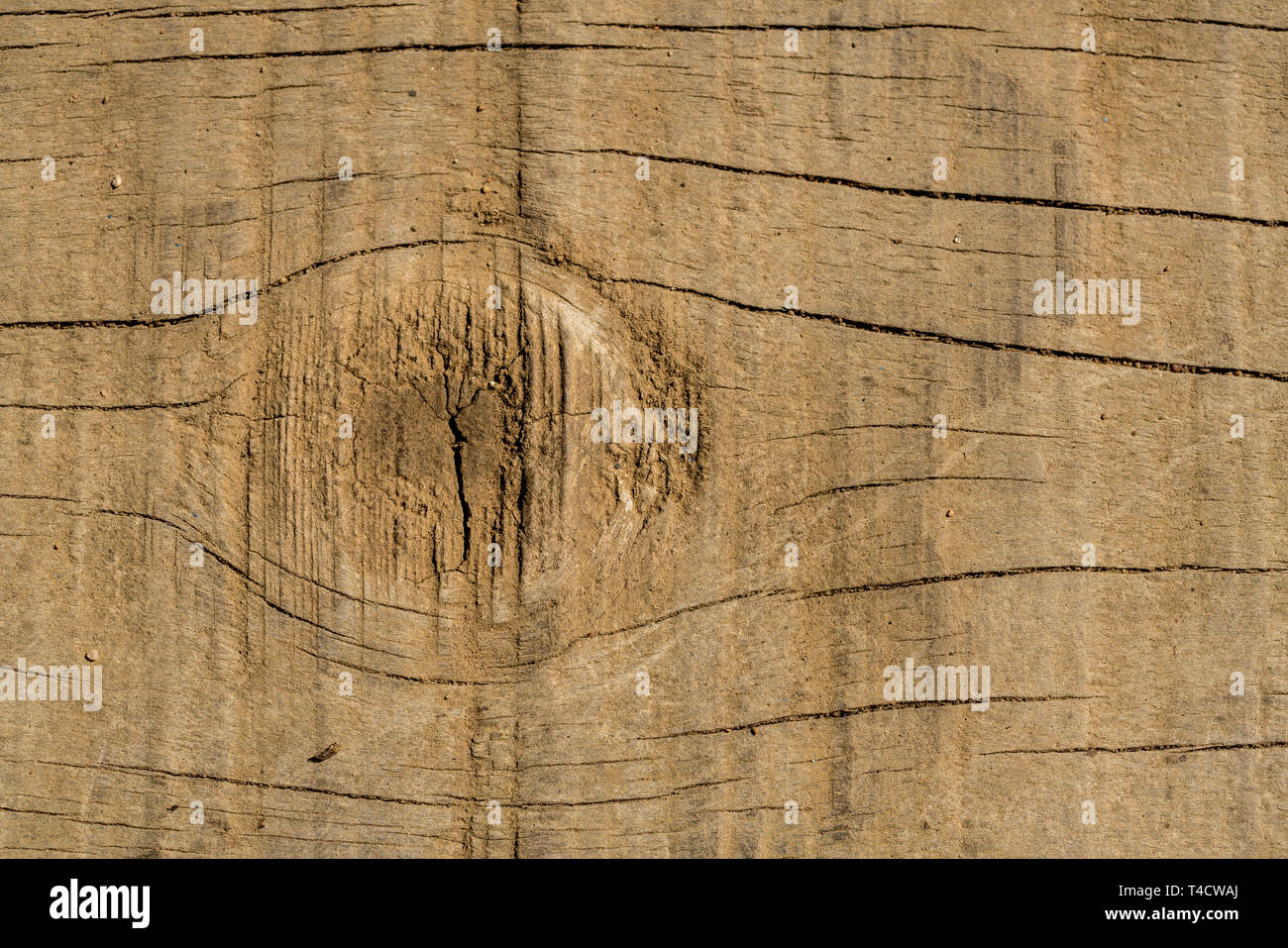 Ein Makro / close up Foto der Textur und einen Knoten auf einem Holz- Oberfläche. Stockfoto