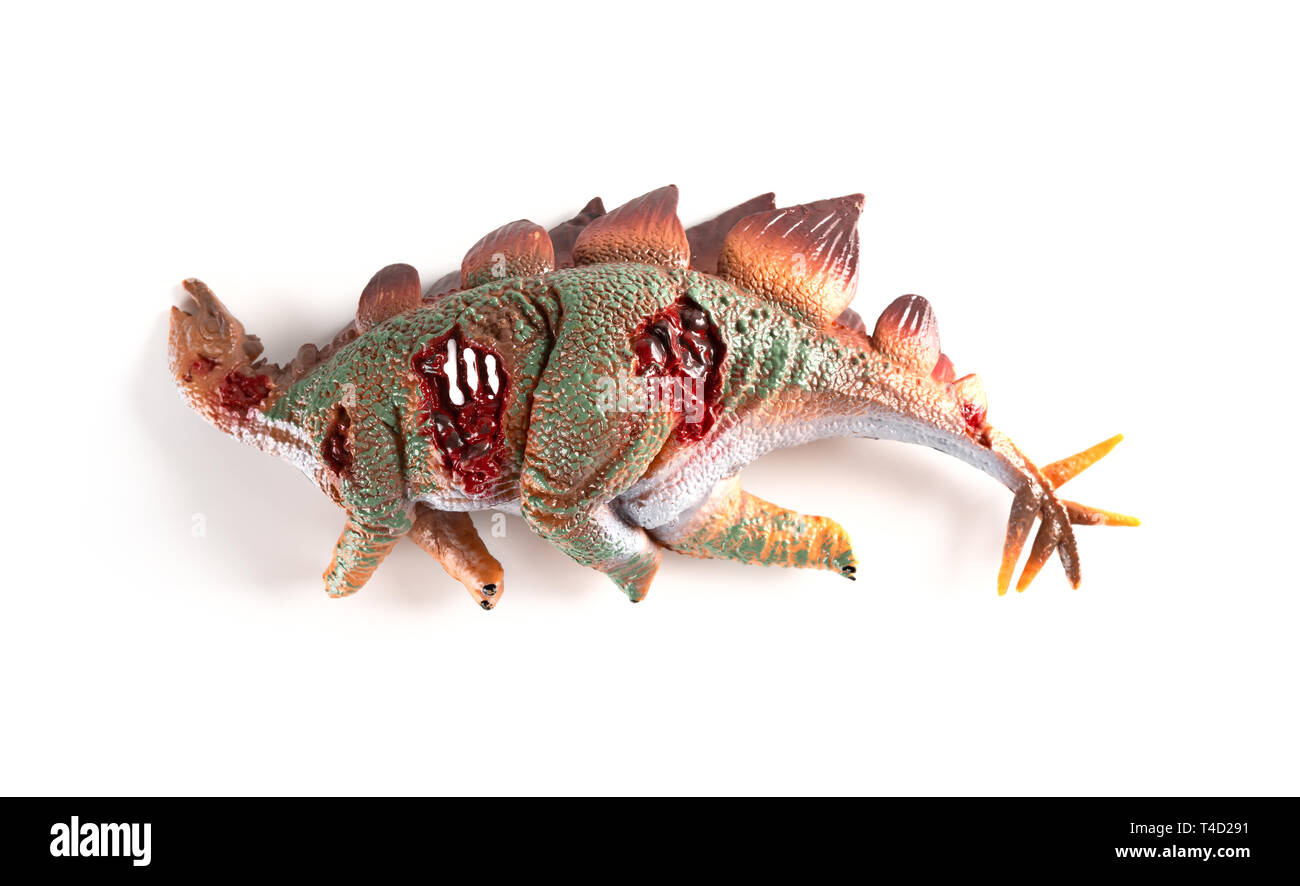 Stegosaurus toten Körper auf weißem Hintergrund Stockfoto