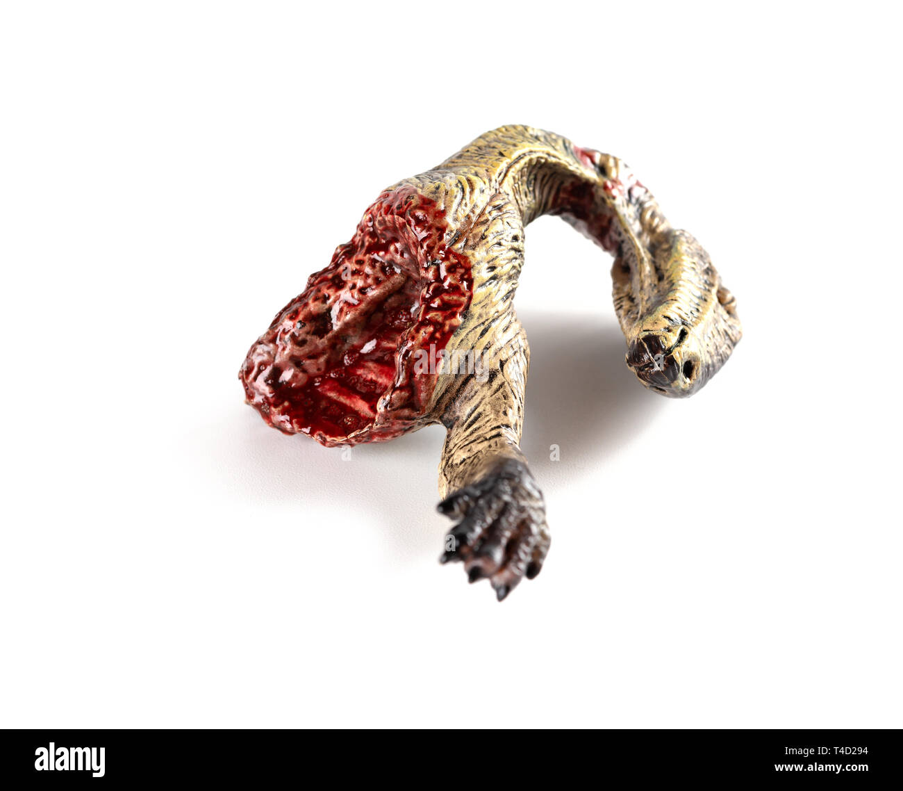 Dinosaurier toten Körper auf weißem Hintergrund Stockfoto