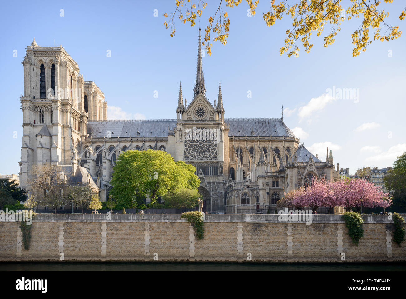 Kathedrale Notre Dame, südliche Fassade an einem schönen sonnigen Frühling Morgen, April 2016, drei Jahre vor dem verheerenden Brand im April 2019. Stockfoto