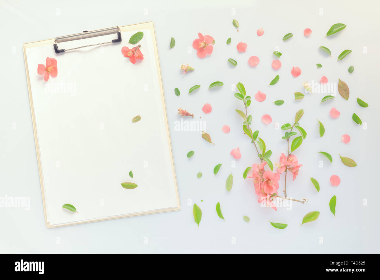 Leeres Papier auf Clipboard Notizblock mit Blumenschmuck, flach Mock up Kopie Platz für Frühling Saison Stockfoto