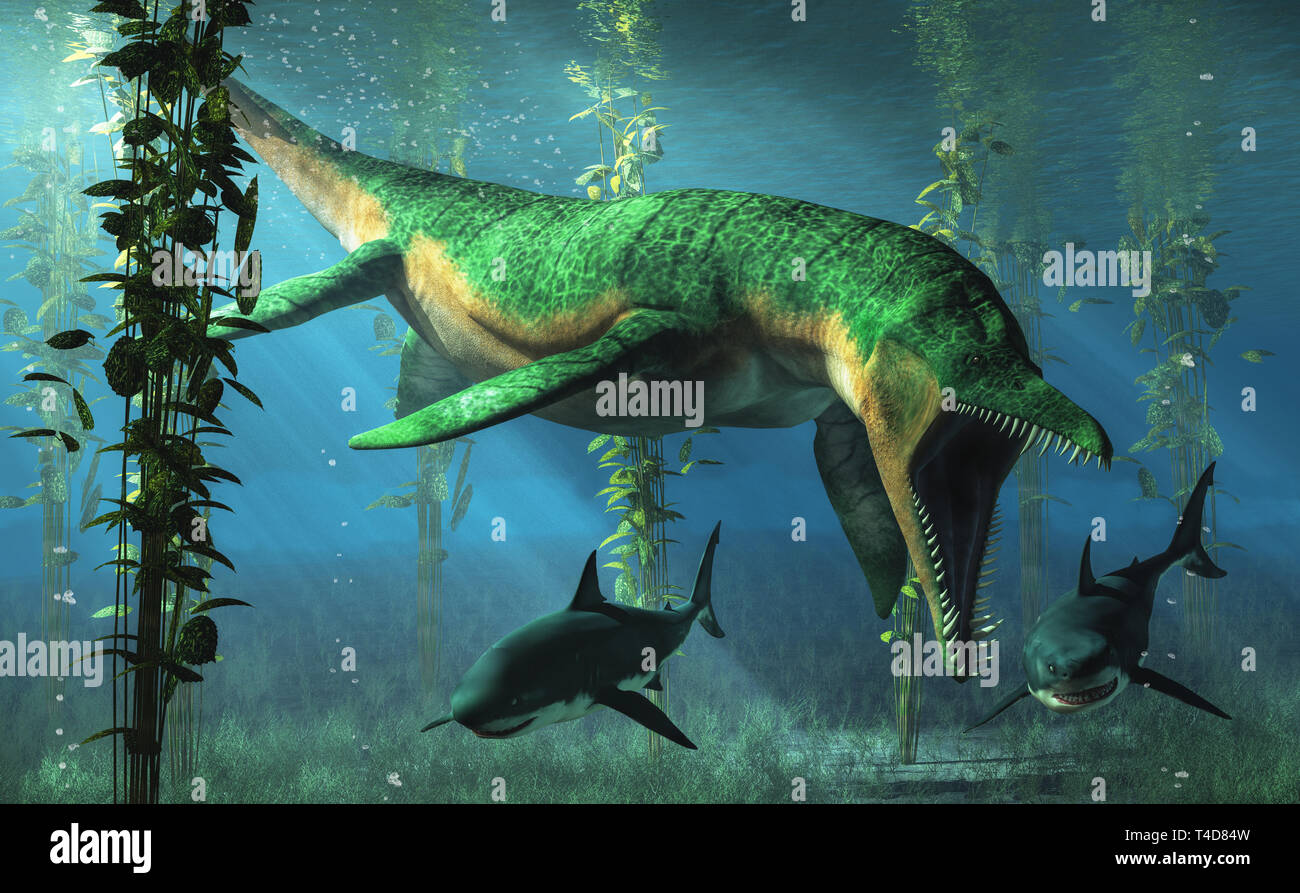Liopleurodon war ein pliosaur und Apex predator Der Jurassischen Meere. Hier, im grünen Meer Monster jagt Haie in flachen Gewässern in einem Kelp Forest. Stockfoto