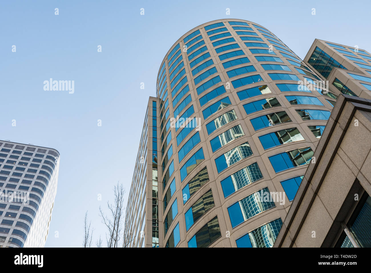 Ansicht von unten ein Wolkenkratzer in Seattle an einem klaren Tag. Stockfoto