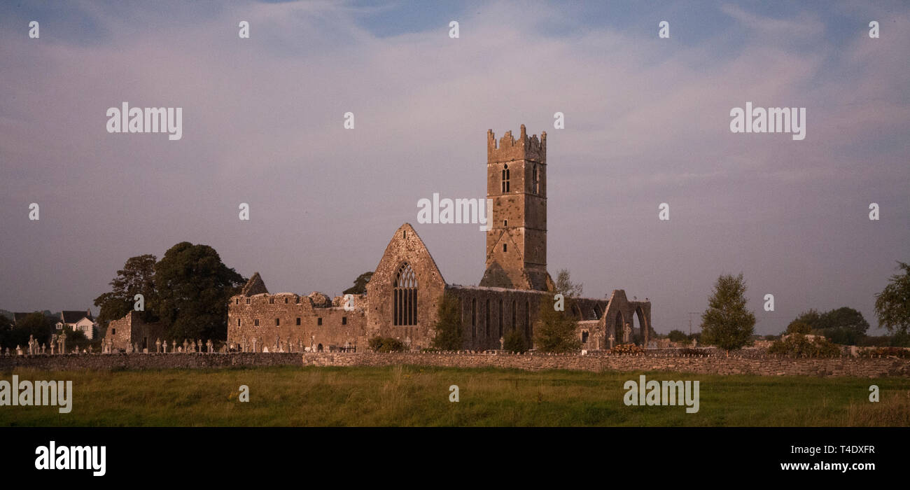 Friary Ruinen, Irland Stockfoto