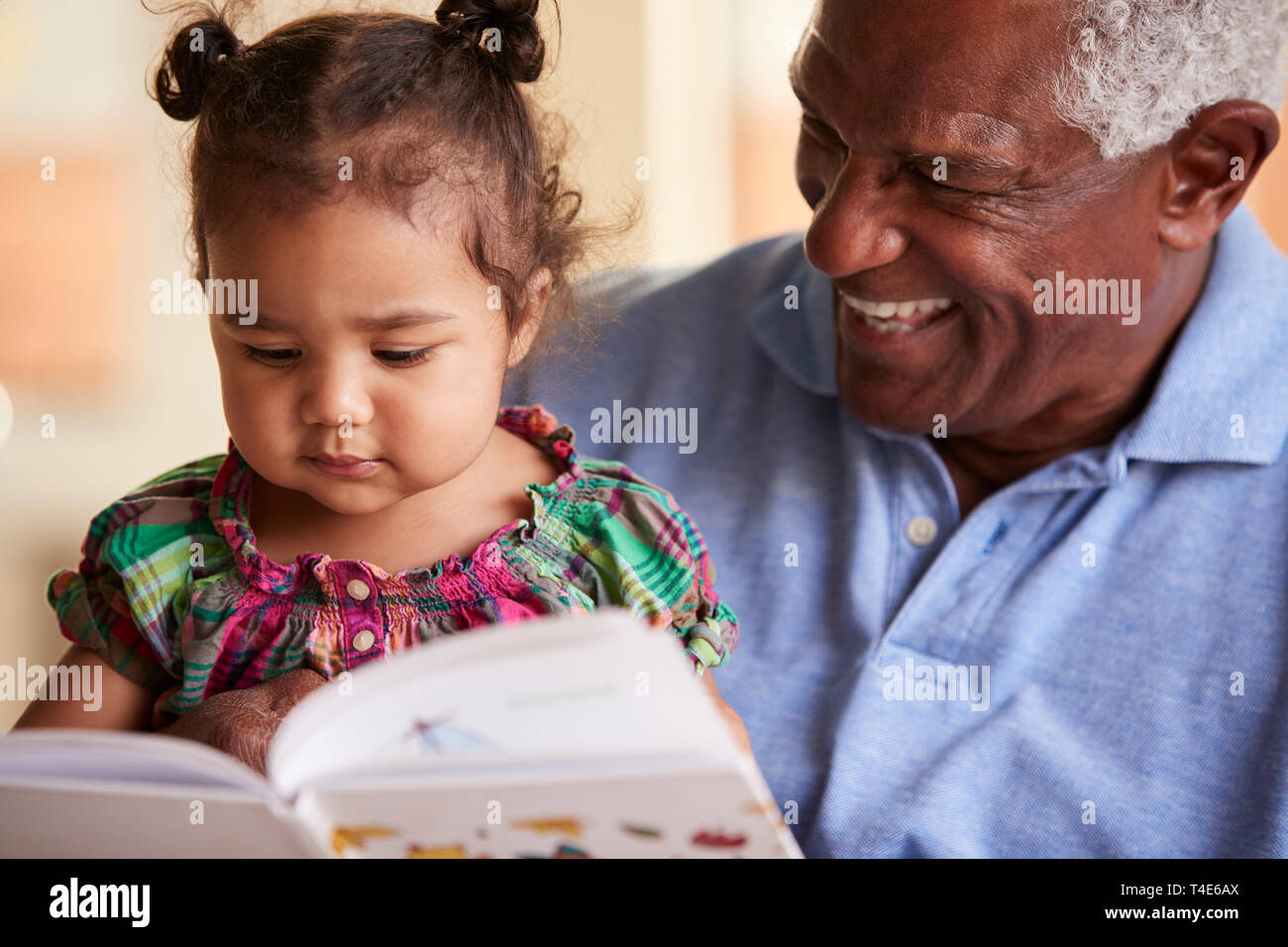 Großvater sitzt auf einem Sofa zu Hause mit Baby Enkelin Buch zusammen Lesen Stockfoto
