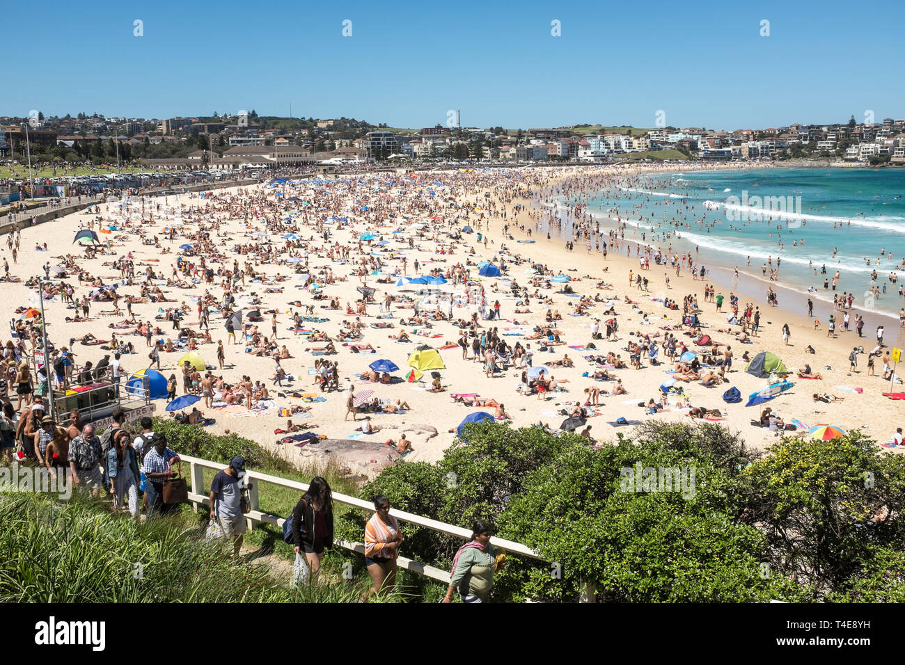 Bondi Beach, Sydney, NSW, Australien Stockfoto