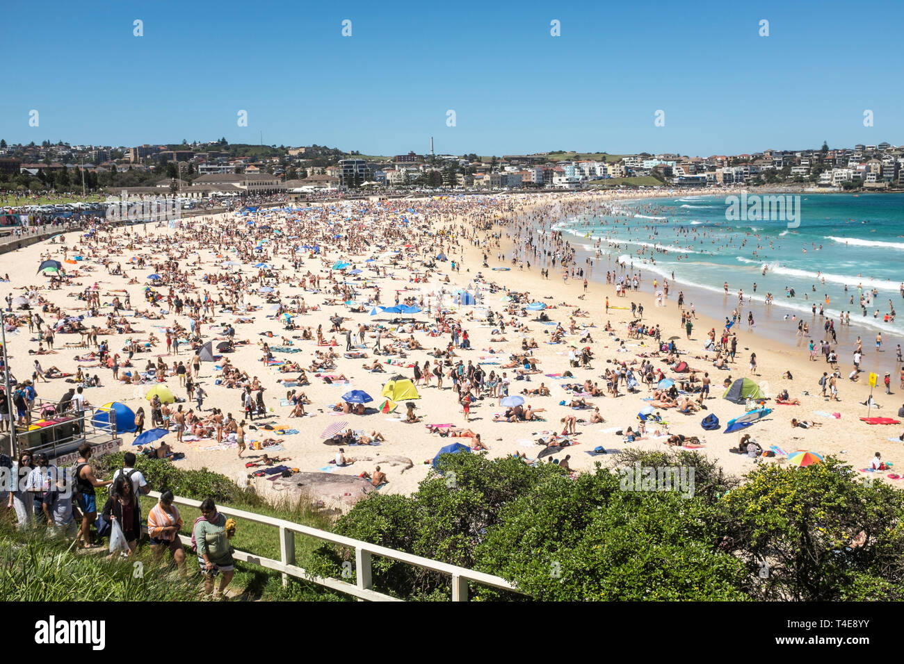 Bondi Beach, Sydney, NSW, Australien Stockfoto