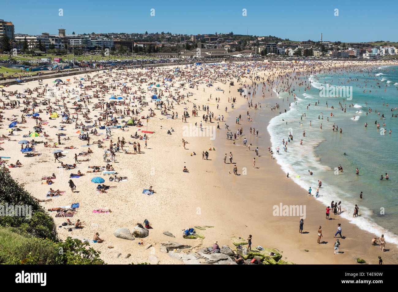 Bondi Beach, Sydney, NSW, Australien Stockfoto