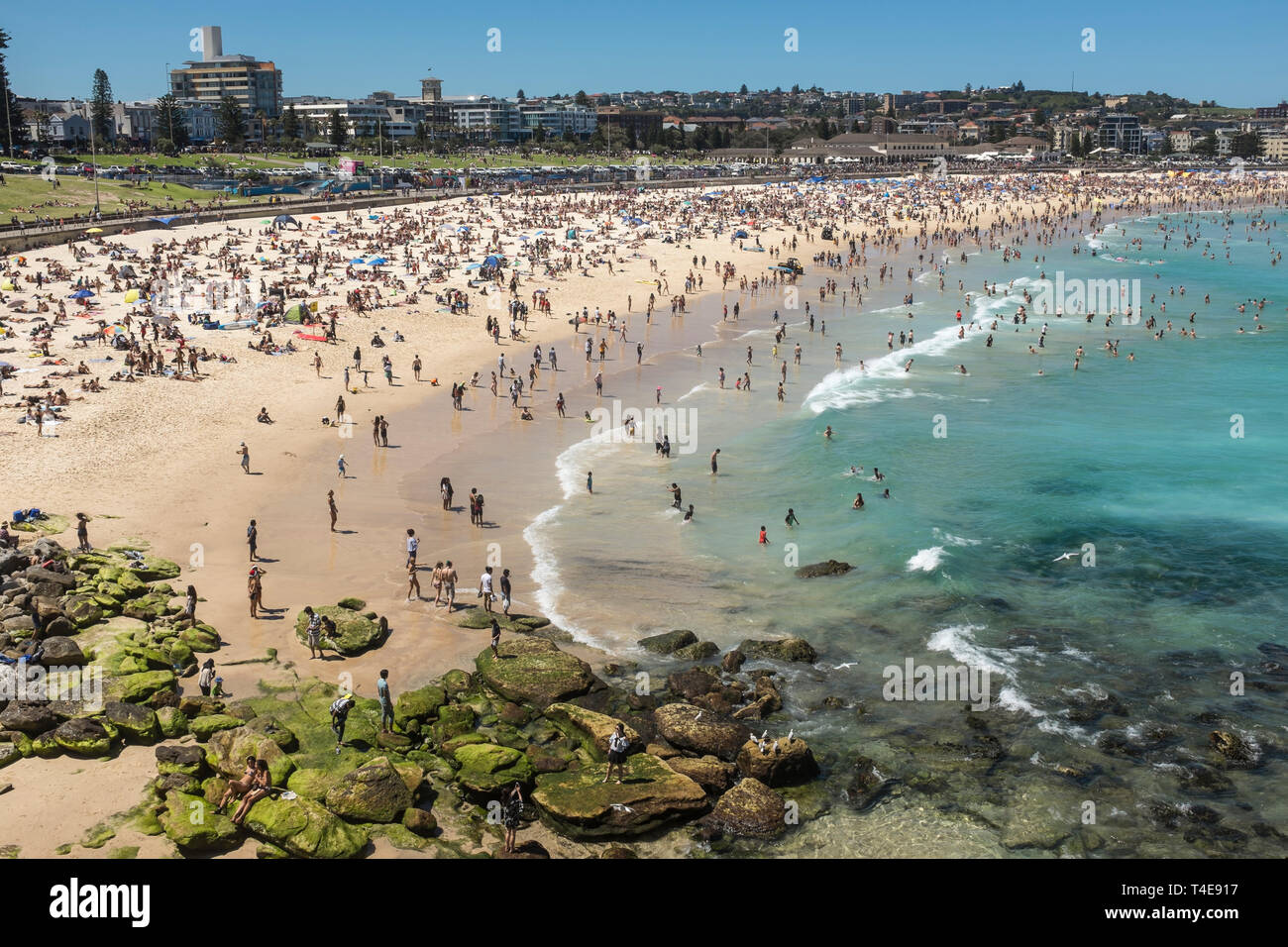 Bondi Beach, Sydney, NSW, Australien Stockfoto