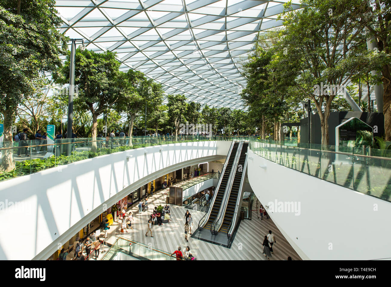 Baumreihen im obersten Stockwerk des Wohngartens, während unten Geschäfte zum Einkaufen stehen, alle innerhalb des Jewel Changi Airport, Singapur Stockfoto