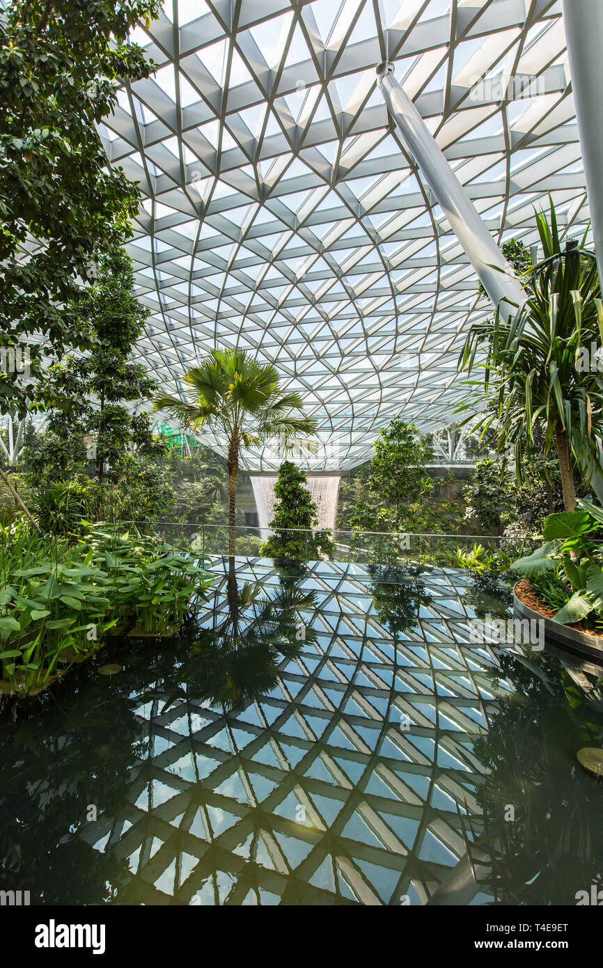 Vertikale Szene des Canopy Park, eine Wasserspiegelung im künstlichen Teich, um den riesigen Raum im Inneren zu zeigen. Jewel Changi Airport, Singapur Stockfoto