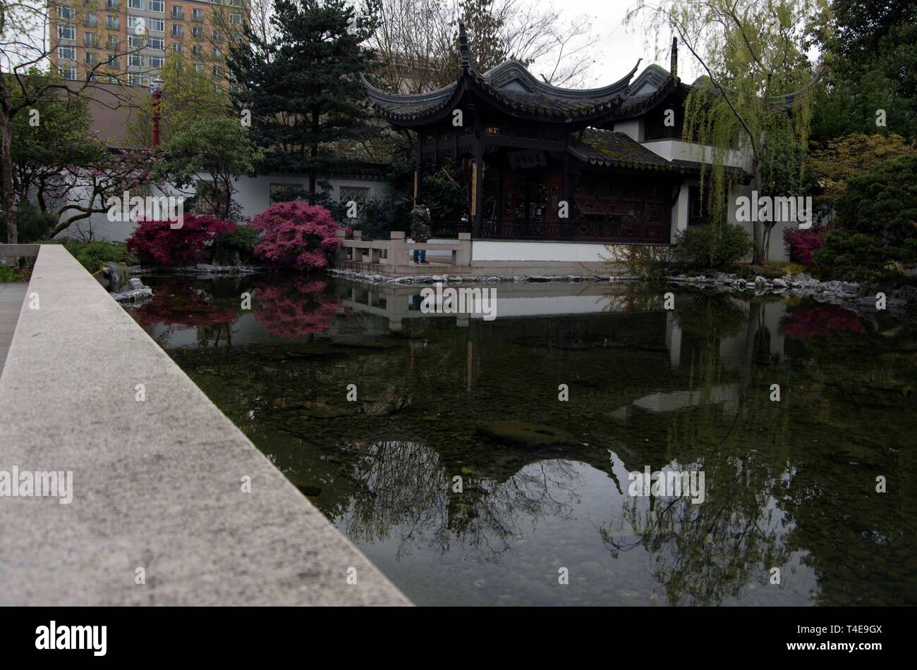 Die Lan Su Chinese Garden Ist Eine Friedliche Funktion Der