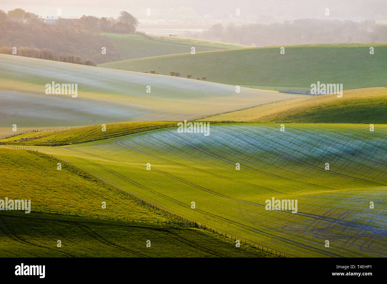 Frühling Sonnenaufgang in South Downs National Park, West Sussex, England. Stockfoto