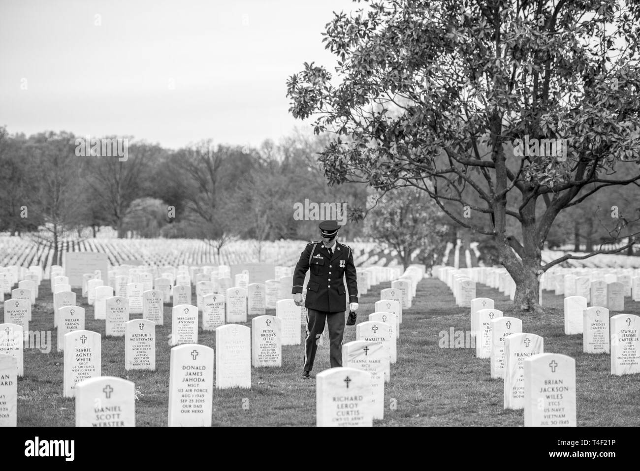 Ein Soldat aus der 3D-US-Infanterie Regiment (Die Alte Garde) abholt, Gewehr Schalen folgenden militärischen Ehren mit Beerdigung Beerdigung escort für die US-Army Chief Warrant Officer 2 Jonathan Landwirt in Abschnitt 60 von Arlington National Cemetery, Arlington, Virginia, 9. April 2019. Bauer trat der Armee am 30. März 2005 und 2007 graduierte von einer Station für die betriebliche Ausbildung in Fort Benning, Georgia eine besondere Kräfte zu Ingenieur Sergeant geworden. Er erwarb seine Kommission als Special Forces Warrant Officer im Jahr 2016 und nach dem Abschluss der basic Special Forces Warrant Officer war natürlich dann auswählen Stockfoto