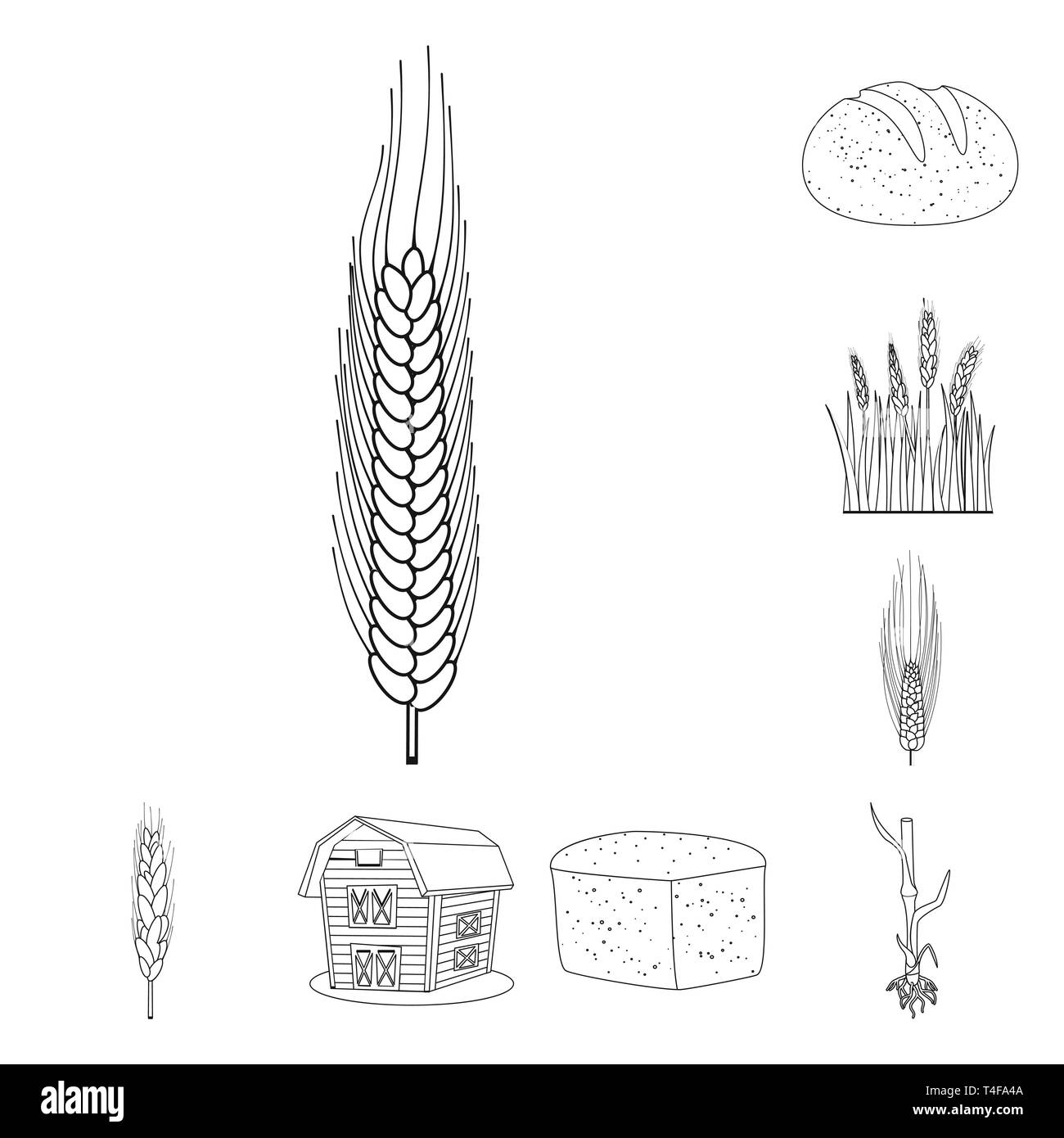 Brot, Feder, Gerste, Getreidespeicher, Stiel, Winter, Spike, Gebäude, Wurzel, Hartweizen, Frühstück, Maisfeld, Saatgut, Eco, gesund, Zuschneiden, bun, Kleie, Kohlenhydrat, Wachsen, auf dem Land, Müsli, Schuppen, Laib, Zyklus, Stroh, Herbst, Reif, Landwirtschaft, Landwirtschaft, Roggen, Weizen, Mais, Getreide, Ernte, Bauernhof, Feld, Set, Vector, Icon, Illustration, isoliert, Sammlung, Design, Element, Grafik, Zeichen, Outline, Linie Vektor Vektoren, Stock Vektor