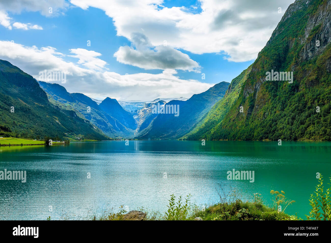 Norwegische Landschaft mit Nordfjord Fjord, Berge, Blumen und Gletscher in Olden, Norwegen Stockfoto