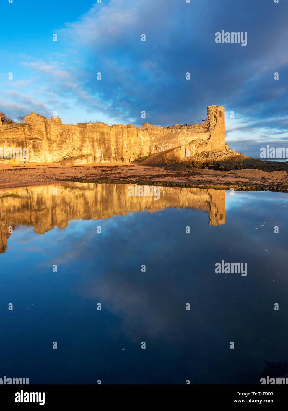 St Andrews Castle, spiegelt sich in der alten Baden Pool auf Schloss Sands bei Sonnenaufgang die Kerben, St Andrews, Fife, Schottland Stockfoto