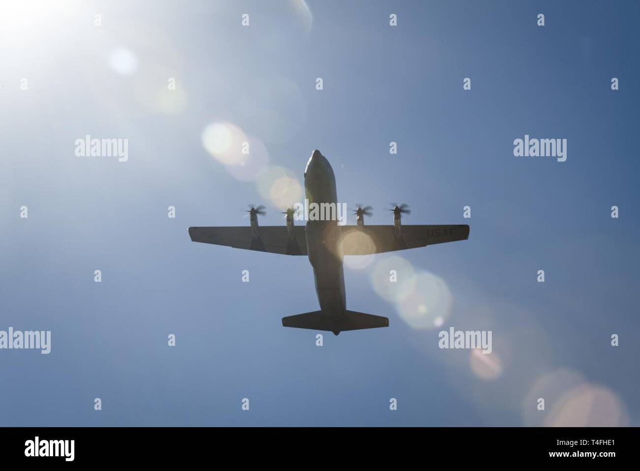 Ein 36Th Airlift Squadron C-130J Super Hercules zieht, 11. April 2019, bei Yokota Air Base, Japan. Die Kirschblüten um Yokota blühte drei Tage später als im letzten Jahr. Stockfoto
