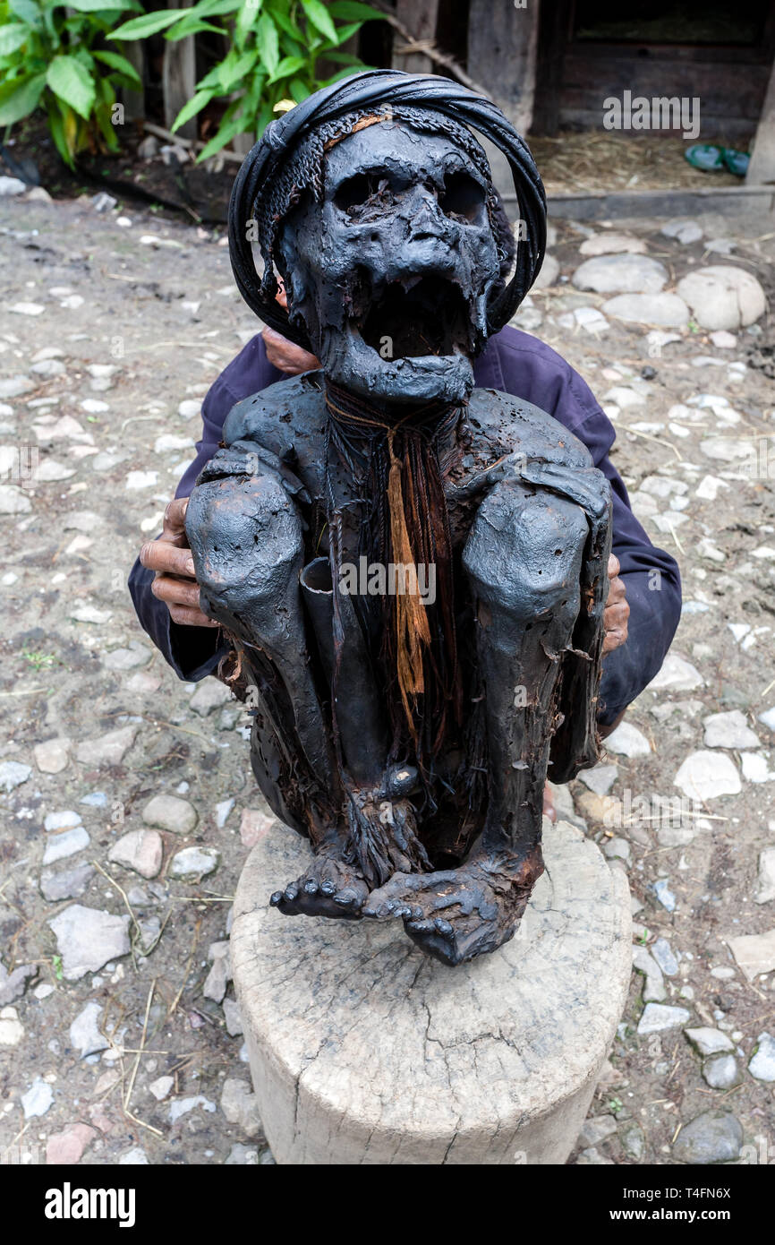 Wamena, Indonesien - Januar 9, 2010: Alter Mann von Dani Stamm holding Mumie eines Dorfältesten. Dugum Dani Dorf. Das Baliem Valley in Papua, Irian Jaya. Stockfoto