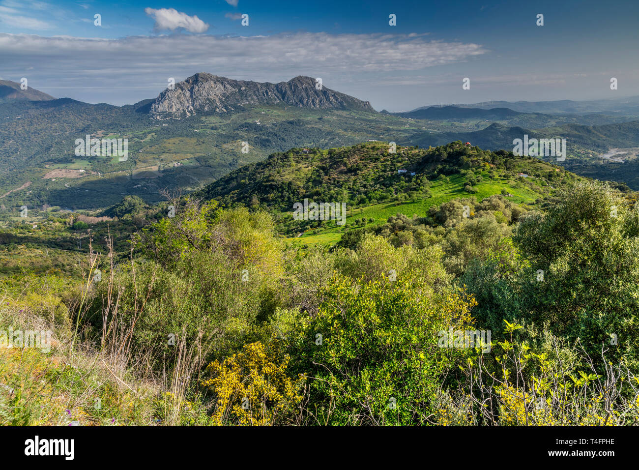 Malerische andalusische Landschaft in der Nähe von Gaucin, Andalusien, Spanien Stockfoto
