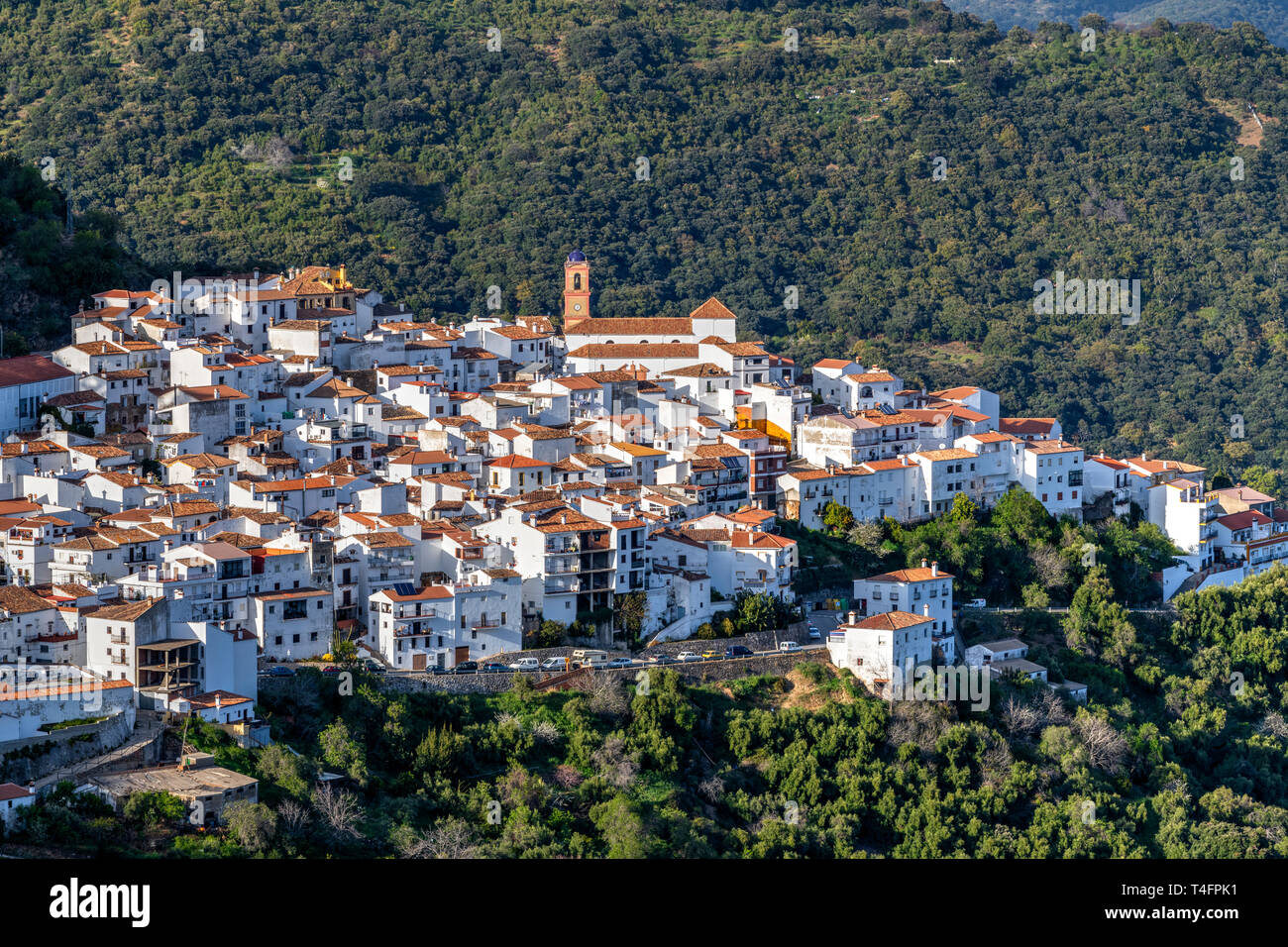 Algatocin, Andalusien, Spanien Stockfoto