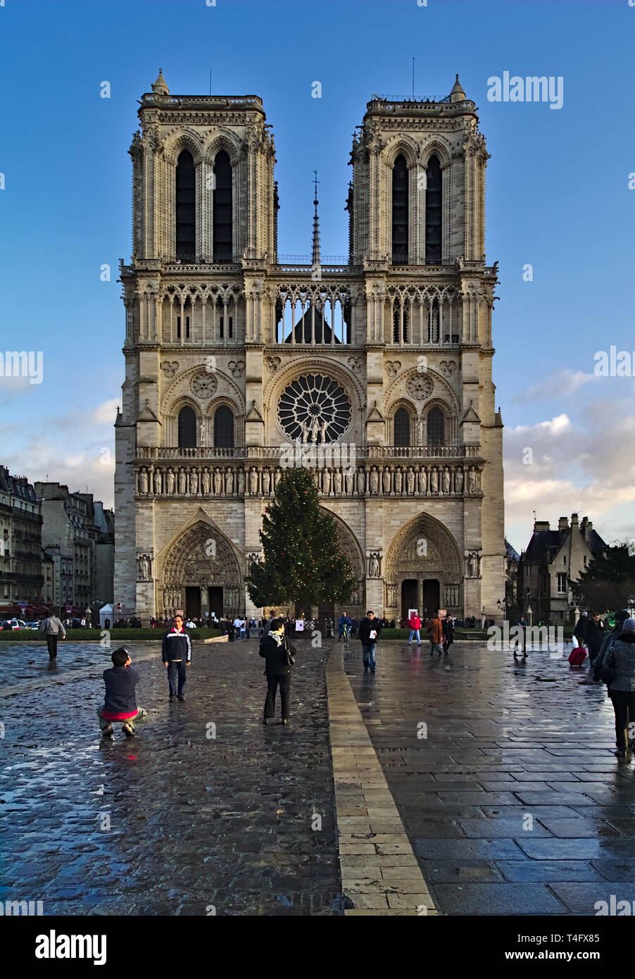 Die Kathedrale Notre Dame de Paris, Frankreich. Winter blauer Himmel mit einigen Wolken. Vorderansicht, tolle Perspektive. Stockfoto