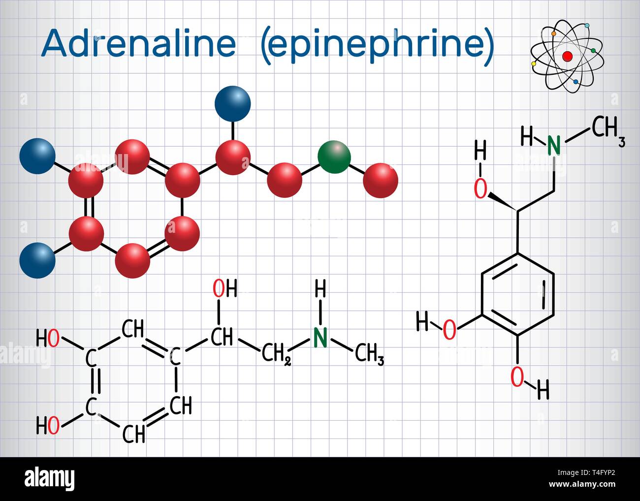 Adrenalin (Epinephrin) Molekül. Es ist ein Hormon, Neurotransmitter, und Medikamente. Strukturelle chemische Formel und Molekül-Modell. Blatt Papier Stock Vektor