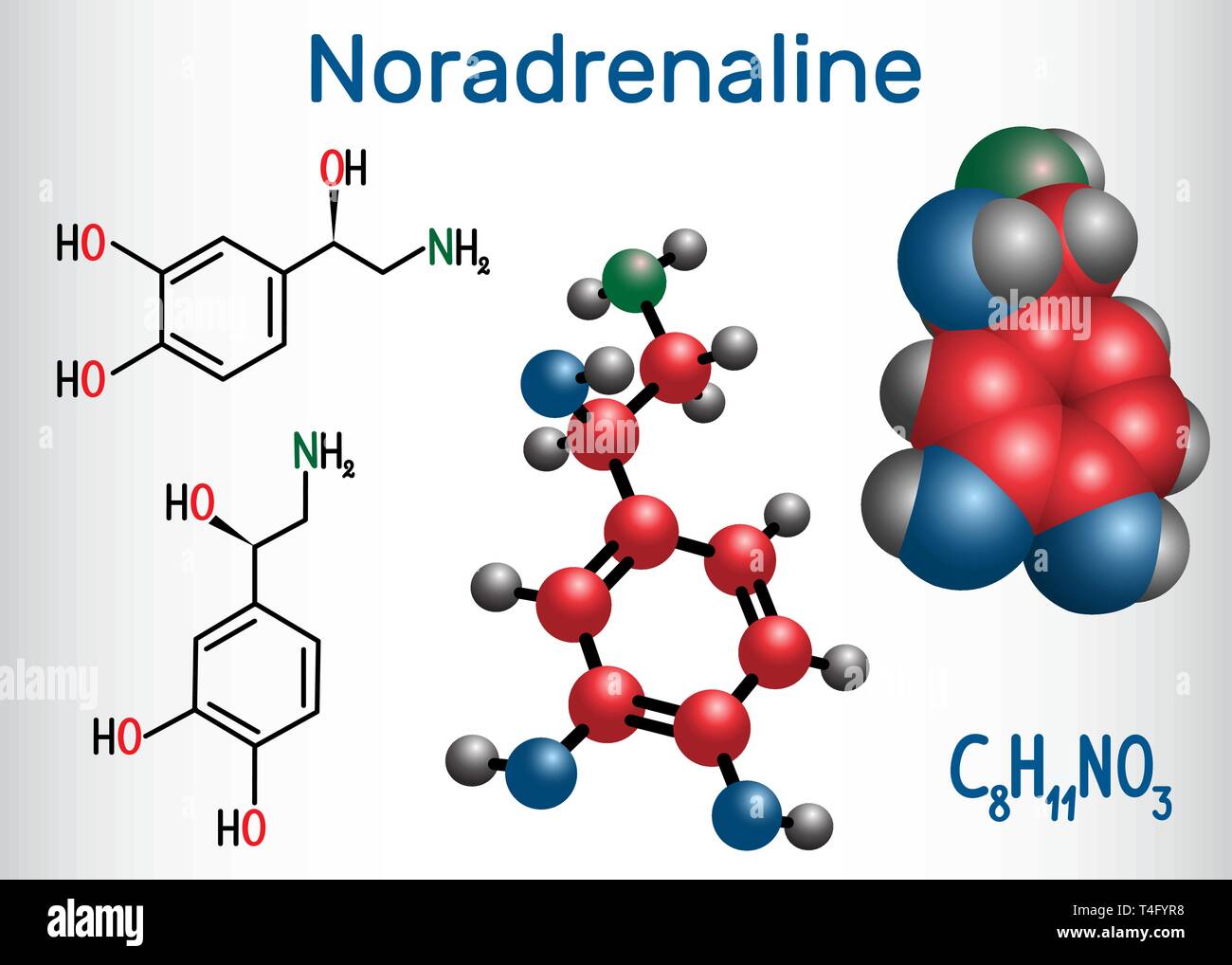 Noradrenalin (NA, Norepinephrin, NE) Molekül. Es ist ein Hormon und Neurotransmitter. Strukturelle chemische Formel und Molekül-Modell. Vektor krank Stock Vektor