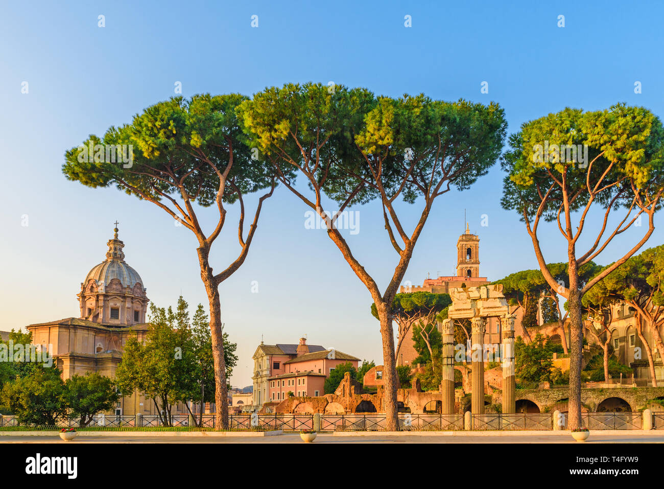 Blick auf das Forum Romanum in Rom, Italien. Roma Wahrzeichen und antike Architektur bei Sonnenaufgang Stockfoto