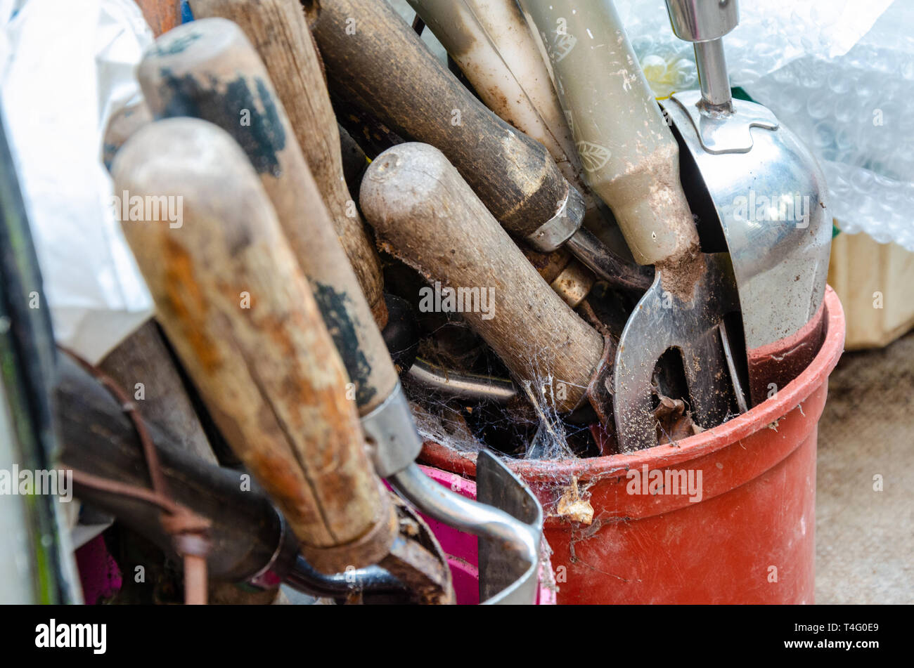 Hand tools in einem Blumentopf in der Ecke eines Gewächshauses. Stockfoto