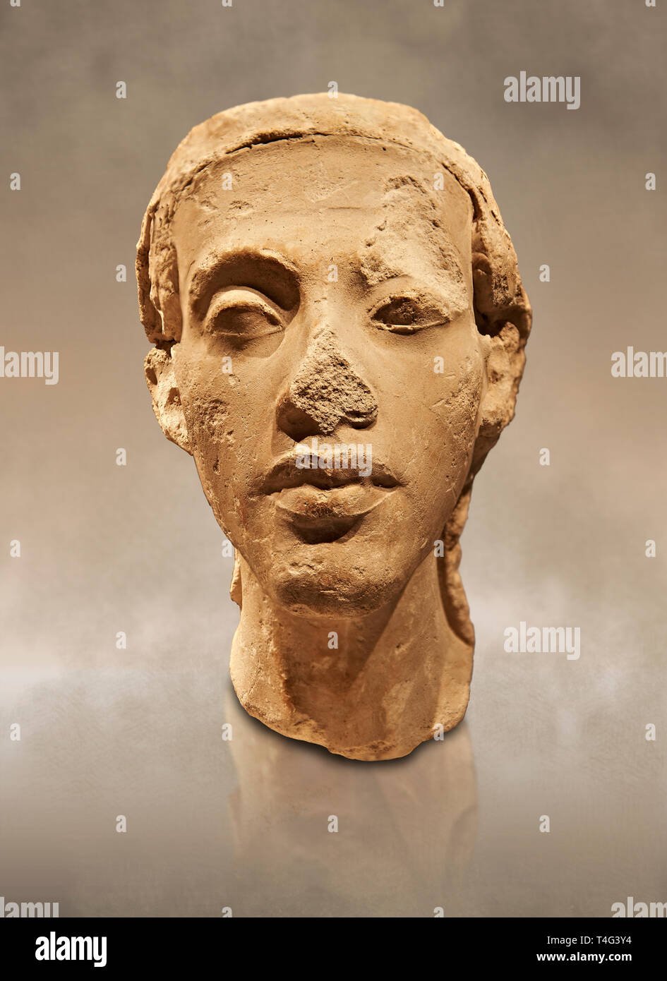 Statue Portrait Kopf der Nofretete. /Portratkopfe des Konigspaares Nofretete.  /Ägypten 18. Dynastie (1340 v. Chr.) Berlin Neues Museum Kat.-Nr.: BIN  21348 Stockfotografie - Alamy