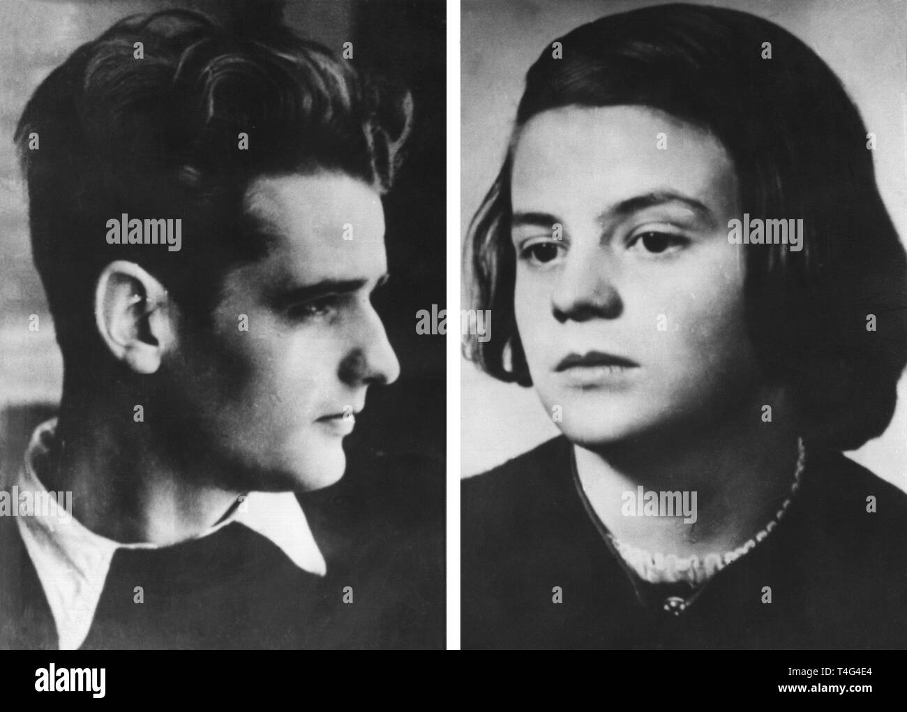 Die Wei e Rose Geschwister Scholl Fotos Und Bildmaterial In Hoher die-wei-e-rose-geschwister-scholl-fotos-und-bildmaterial-in-hoher