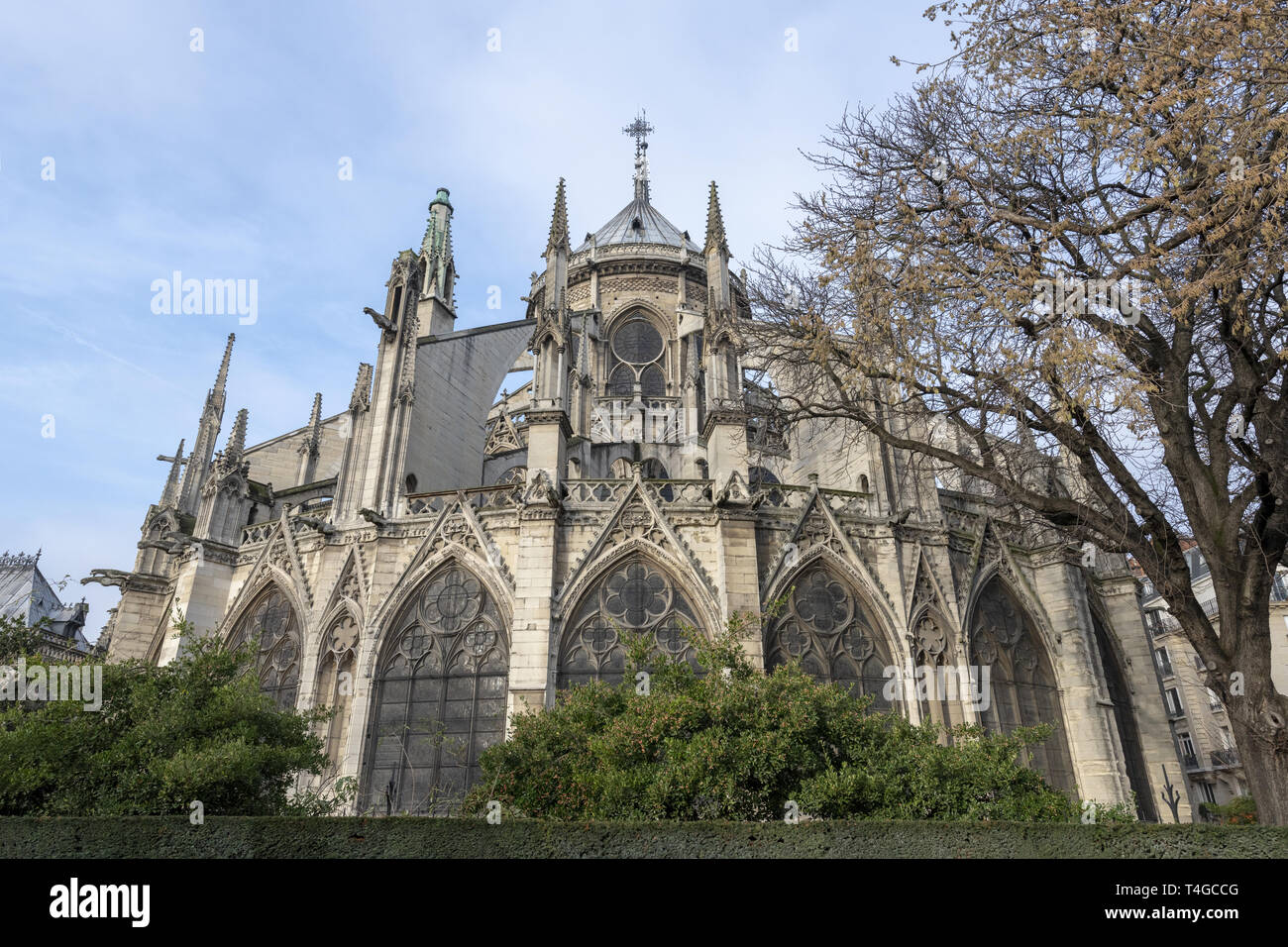 Frankreich, Paris, die Cathédrale Notre-Dame de Paris im Jahr 2017 Stockfoto