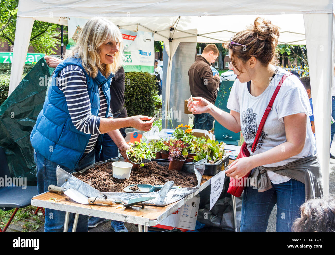 Pflanzen und Beratung zu deren Wachstum von Octopus Community Network auf dem Sommerfest bei Caxton House, ein Gemeindezentrum in Islington, London Stockfoto