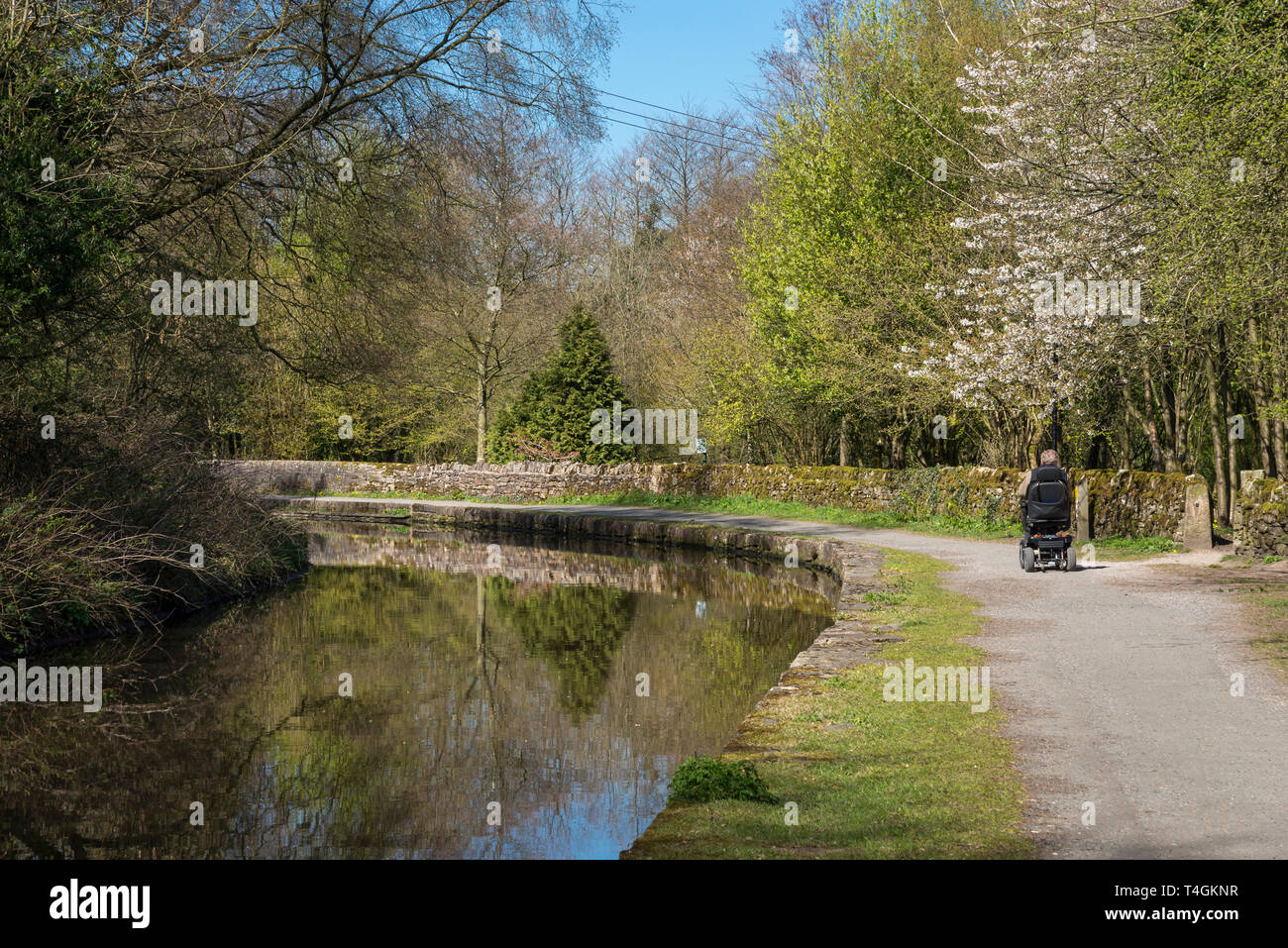 Mann in einem Mobilität scooter Genießen der Peak Wald in der Nähe von Canal Leinpfad Whaley Bridge, Derbyshire, England. Stockfoto