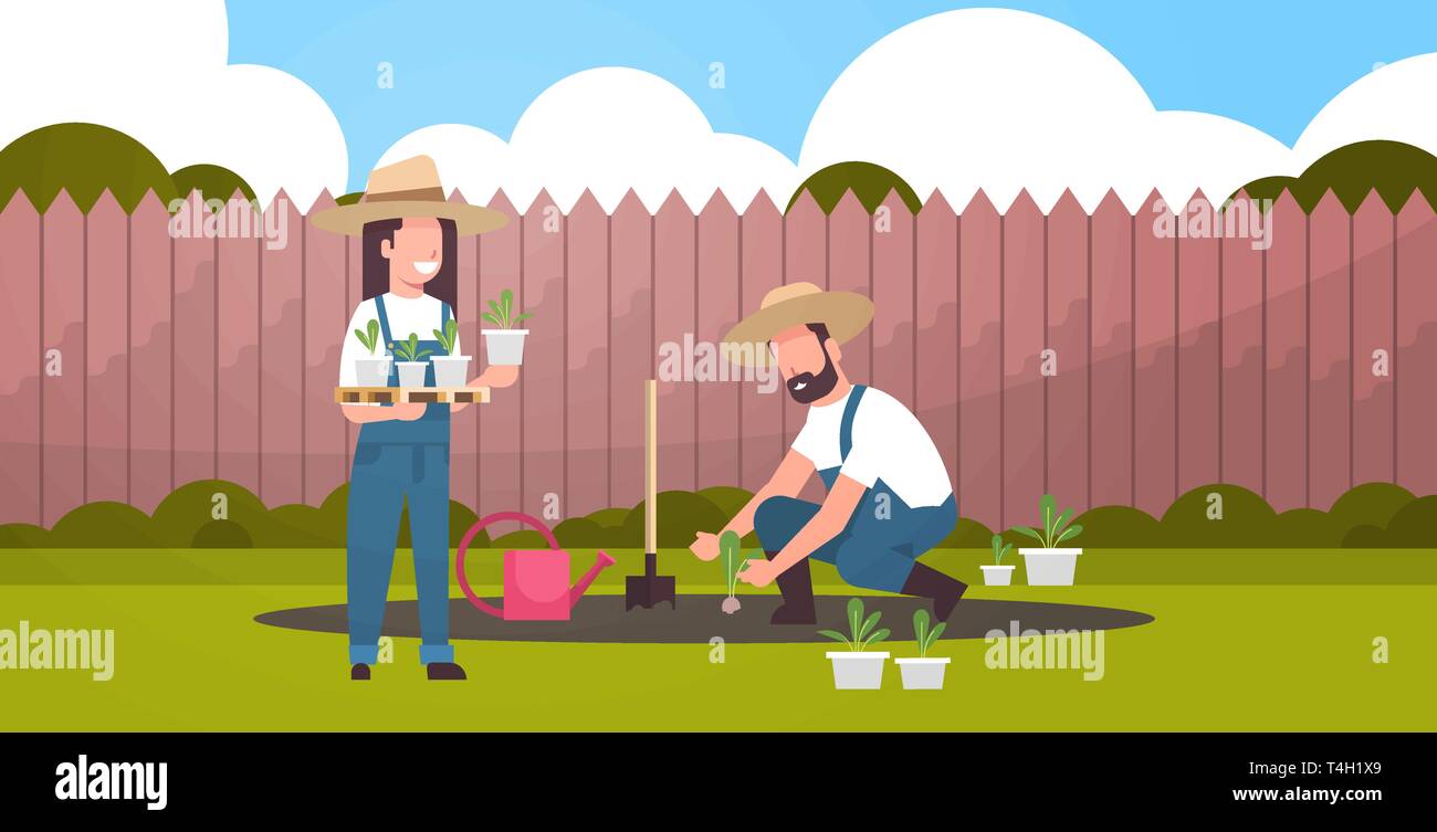 Paar Bauern pflanzen Jungpflanzen Pflanzen, Blumen und Gemüse Mann Frau im Garten eco arbeiten Landwirtschaft Konzept Hinterhof Hintergrund Flachbild voll Stock Vektor